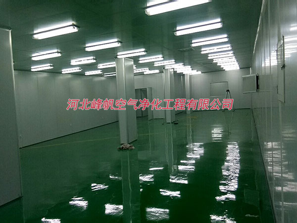 河北食品净化工程公司口碑厂家河北峰帆净化专业设计施工团队